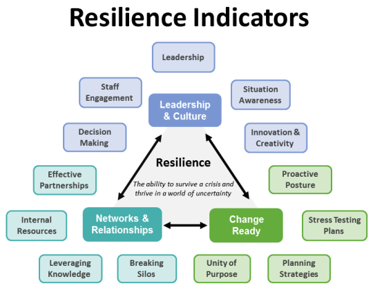 what-makes-a-resilient-organization-image.gif